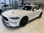 Ford Mustang 5.0L Fastback AT 5.0